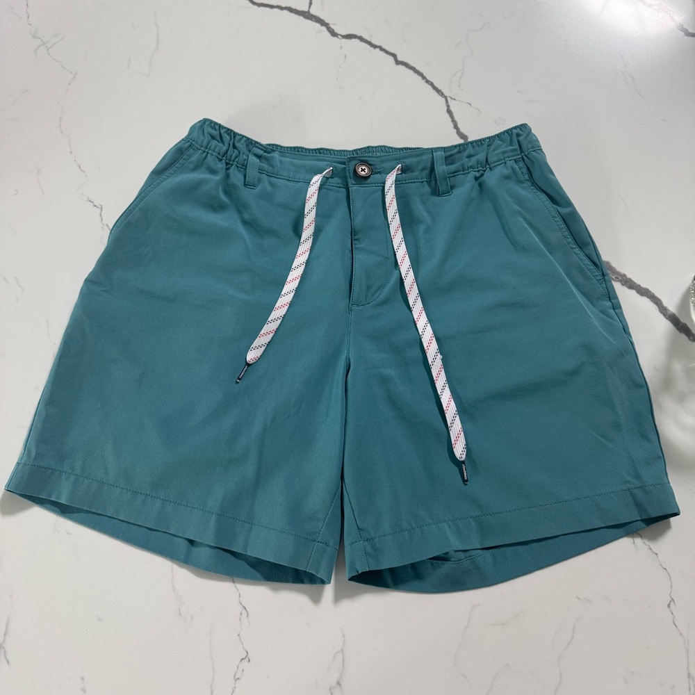 Teal Chubbies Men’s Shorts